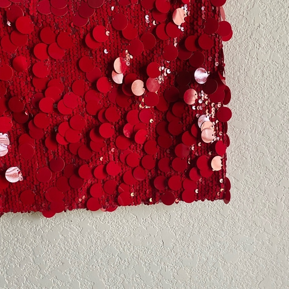 Editkted Sabina Low-Rise Sequin Red Coquette Sexy Mini Whimsical Skirt  Size L - Picture 9 of 11